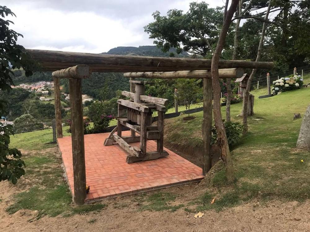 Área externa e paisagismo - foto 2